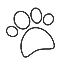 pet 3x